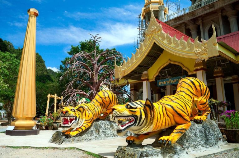 Tiger Temple | Bangkok Thailand