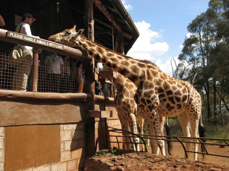 Giraffe Manor - Nairobi, Kenya All Inclusive Resort
