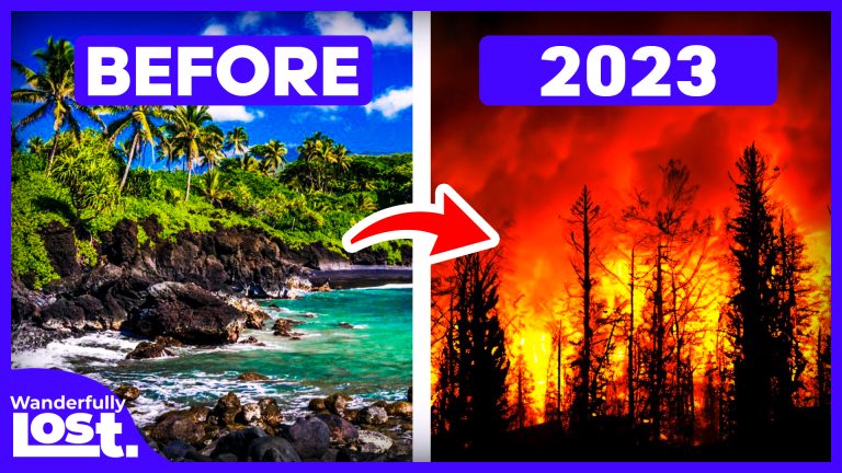 Maui Hawaii Wildfires: What's Next for Maui Tourism?