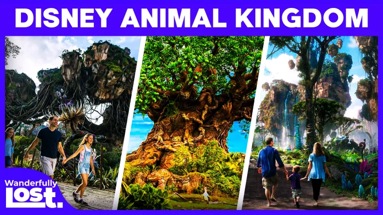 How to Plan Your Disney Animal Kingdom Family Vacation