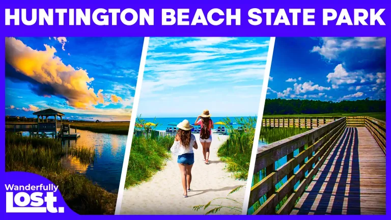 Huntington Beach State Park, South Carolina: An In-Depth Family Adventure Guide