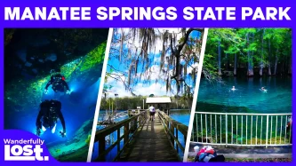 Manatee Springs State Park: An In-Depth Family Adventure Guide